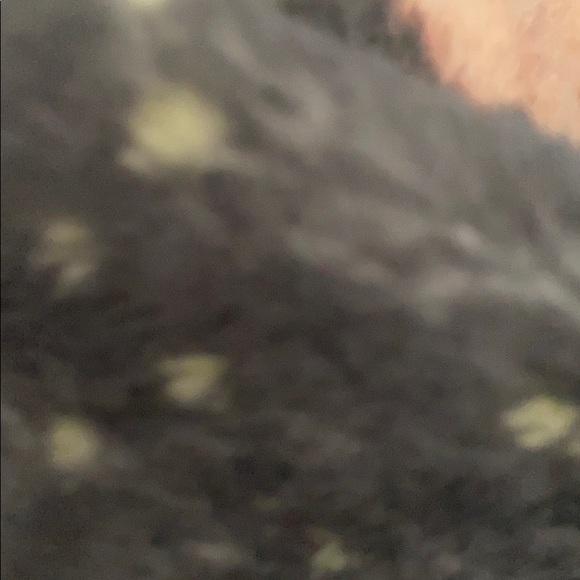 Meet your Posher, Danielle - Picture 1 of 1